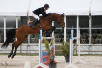 /album/cavalos-horses/a60283-446615032047225-2137536149-n-jpg/