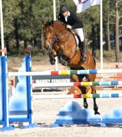 /album/cavalos-horses/img-5073-jpg/